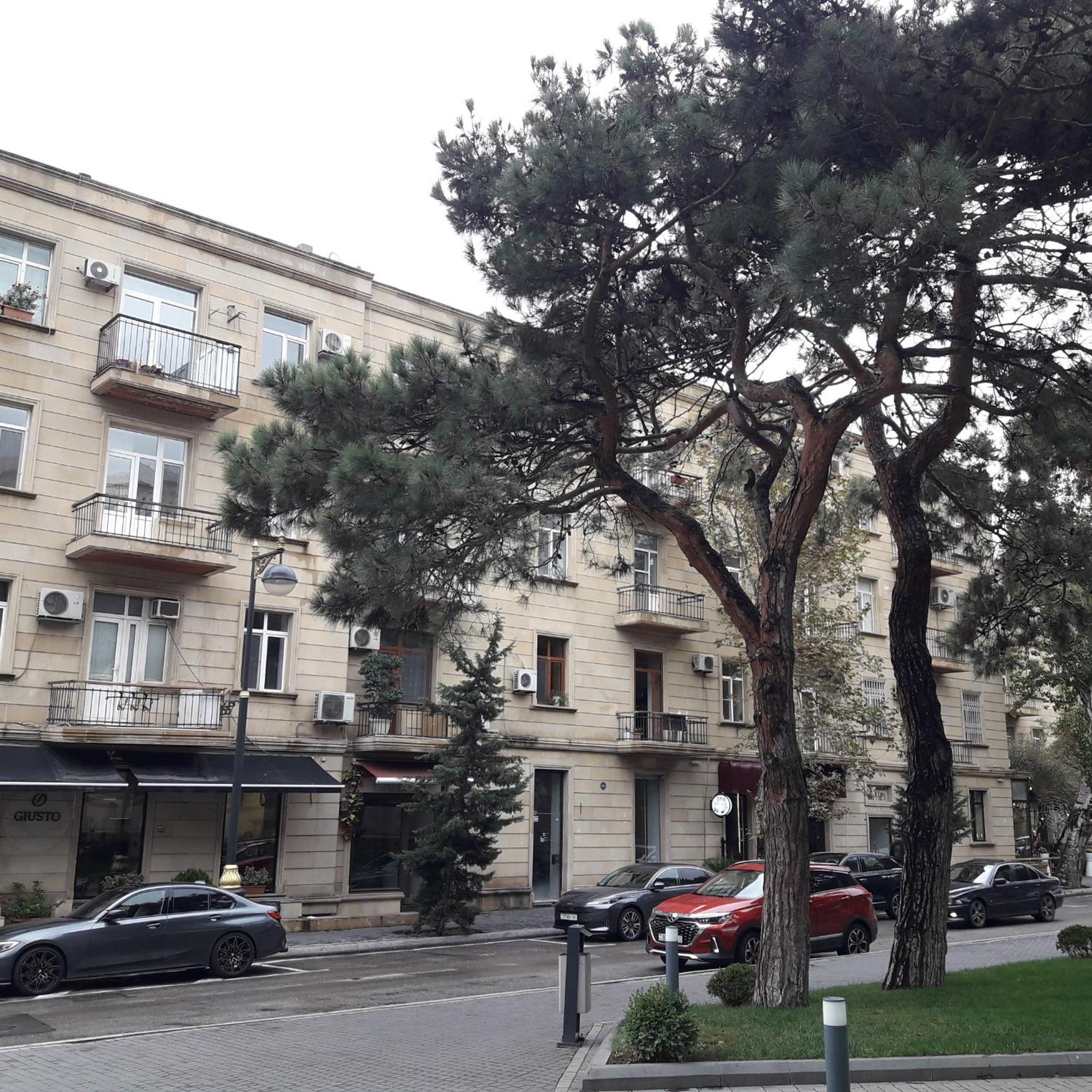 Apartment Niyazi 5 Baku Kültér fotó